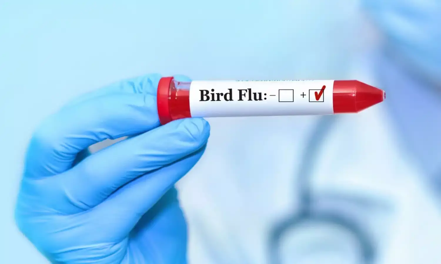 Migratory birds and crows among suspected in spread of bird flu to Kerala farms