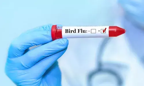 Migratory birds and crows among suspected in spread of bird flu to Kerala farms