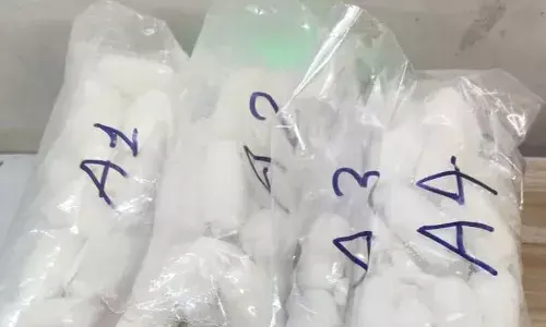 Angola woman, who ingested 34 cocaine capsules, held at Delhi airport: Customs