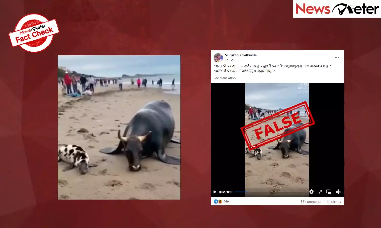 Fact Check: കടൽ‍പശുവിന്റെ ദൃശ്യങ്ങൾ വ്യാജമോ? സത്യമറിയാം