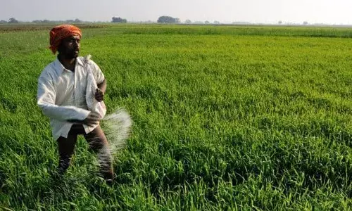 Telangana government releases guidelines for crop loan waiver