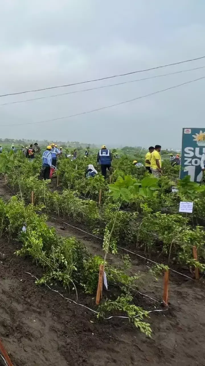 Indore plants 11 lakh saplings in  24 hours