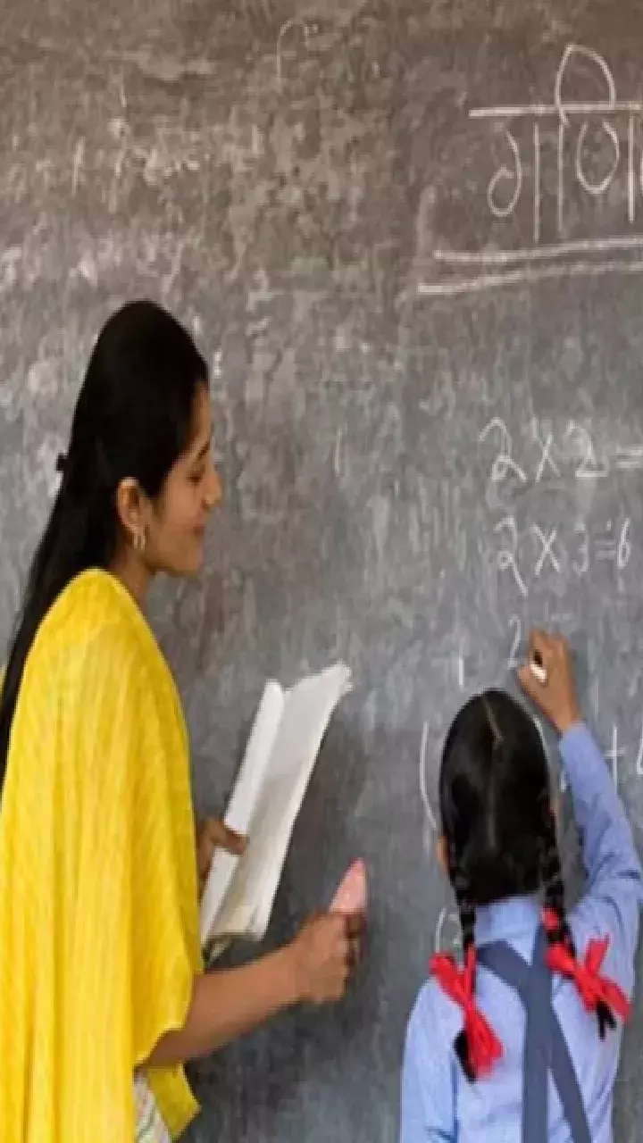 HC refuses to stay notification for DSC teachers