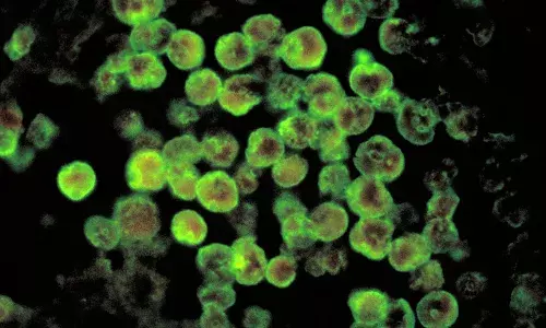 Beware of brain-eating amoeba: How early diagnosis helped Kerala boy recover from PAM