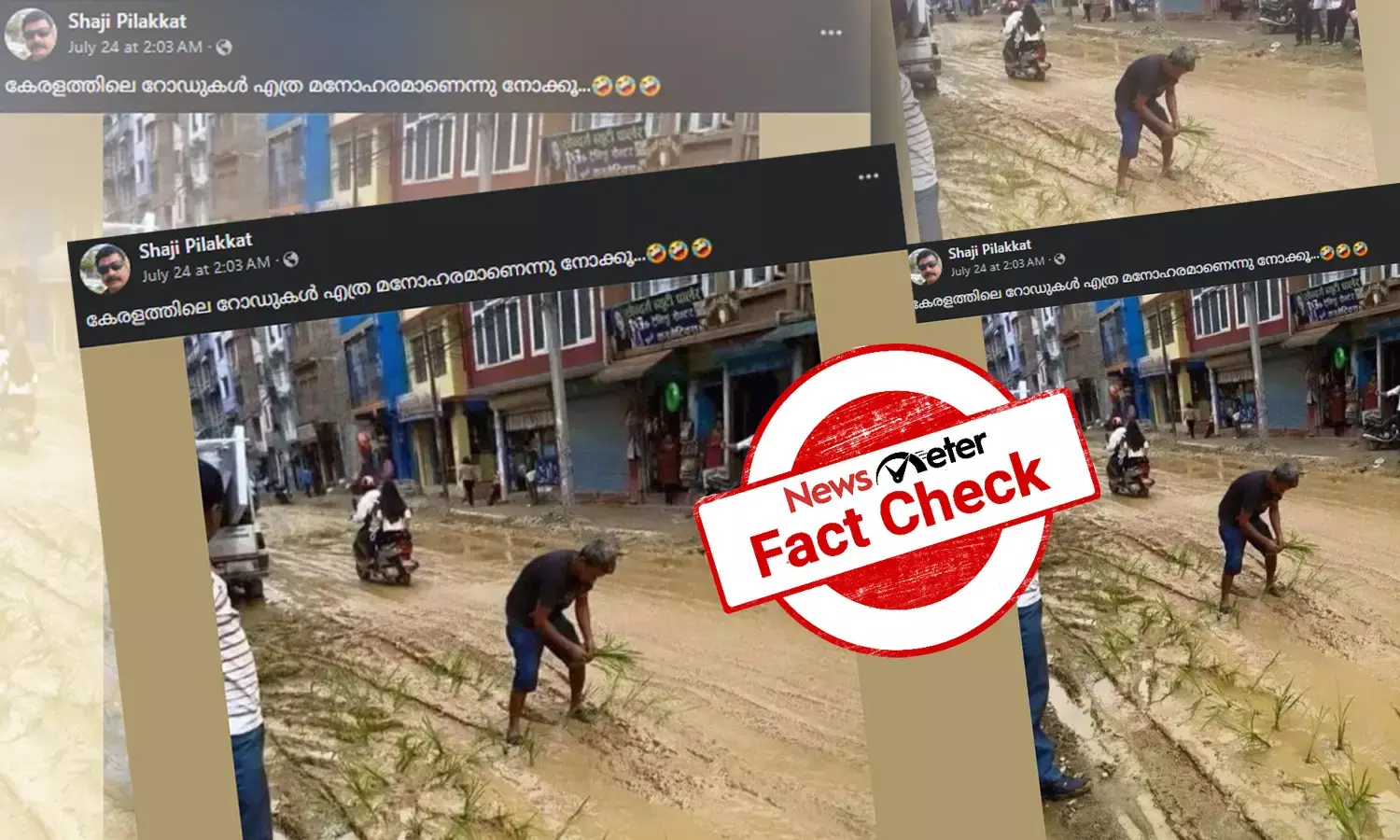 Fact Check: റോഡില്‍ ഞാറ് നടുന്ന ചിത്രം കേരളത്തില്‍നിന്നോ?