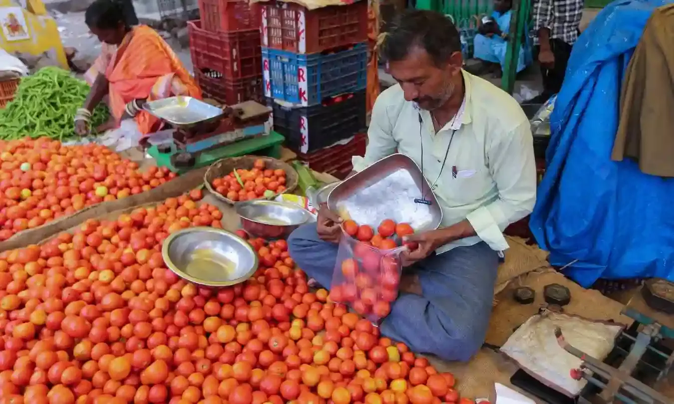 Govt sells subsidised tomatoes at Rs 60/kg in Delhi-NCR