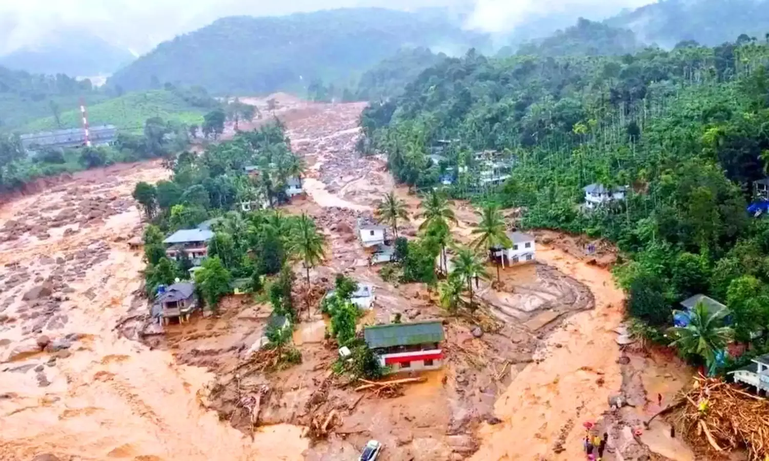 Wayanad landslides: Survivors recount harrowing moments, Army, NDRF resume rescue operations