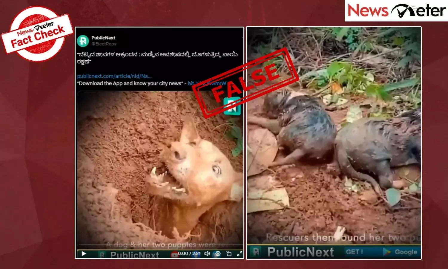 Fact Check: ವಯಾನಾಡ್ ಭೂಕುಸಿತದ ವೇಳೆ ನಾಯಿ, ಮರಿಗಳ ರಕ್ಷಣೆ ಮಾಡುತ್ತಿರುವ ವೀಡಿಯೊ ಹಳೇದು