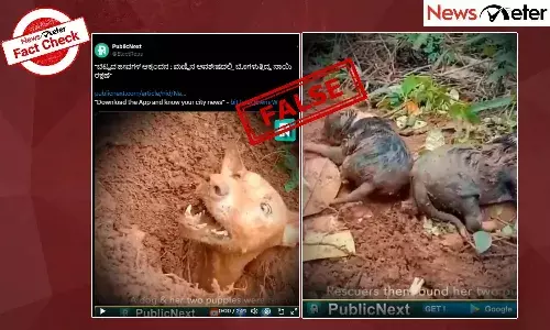 Fact Check: ವಯಾನಾಡ್ ಭೂಕುಸಿತದ ವೇಳೆ ನಾಯಿ, ಮರಿಗಳ ರಕ್ಷಣೆ ಮಾಡುತ್ತಿರುವ ವೀಡಿಯೊ ಹಳೇದು