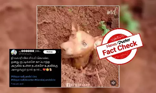 Fact Check: ą®µą®Æą®Øą®¾ą®ąÆ ą®Øą®æą®²ą®ąÆą®ą®°ą®æą®µą®æą®²ąÆ ą®ą®æą®ąÆą®ą®æą®Æ ą®¤ą®©ą®¤ąÆ ą®ąÆą®ąÆą®ą®æą®ąÆą®ą®³ąÆ ą®ą®¾ą®ŖąÆą®Ŗą®¾ą®±ąÆą®± ą®®ą®©ą®æą®¤ą®°ąÆą®ą®³ąÆ ą®ą®¤ą®µą®æą®ąÆą®ąÆ ą®
ą®“ąÆą®¤ąÆą®¤ą®¤ą®¾ தாய௠நாயąÆ?