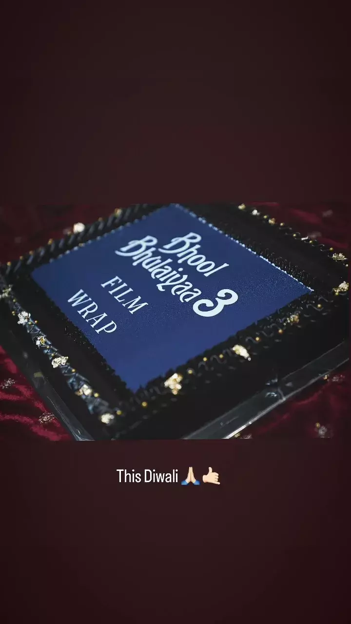 Kartik Aaryan Wraps Up Bhool Bhulaiyaa 3 Shoot, Announces Diwali Release