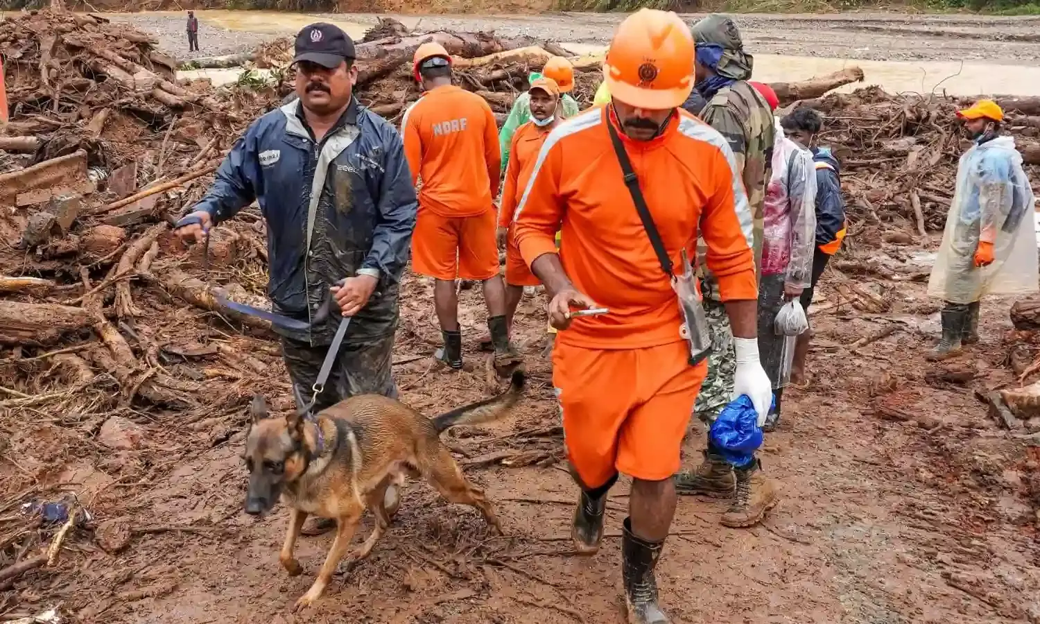 Kerala landslides: Animal welfare dept working to get new homes for ownerless animals