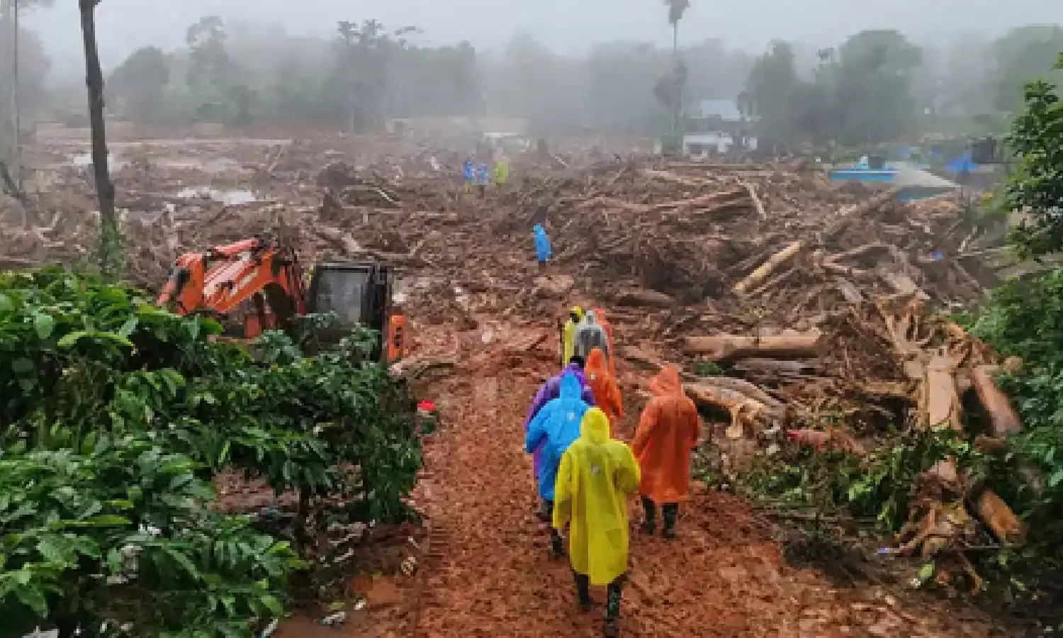 Task force to clear encroachments, illegal resorts in forests and western ghats