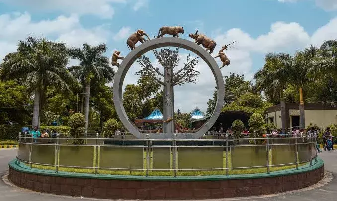 State has no info on relocation of Nehru Zoo to Shadnagar, RTI reveals