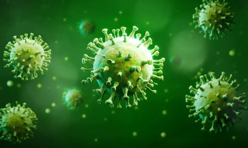 Govt says 53 cases of Chandipura virus reported in country