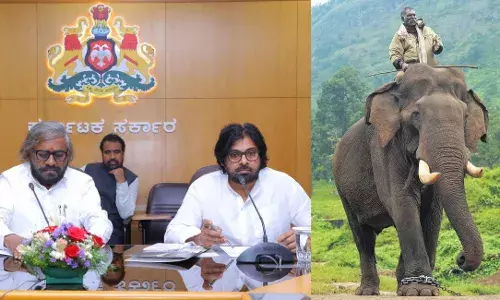 AP to borrow 8 Kumki elephants from Karnataka to deter wild herds