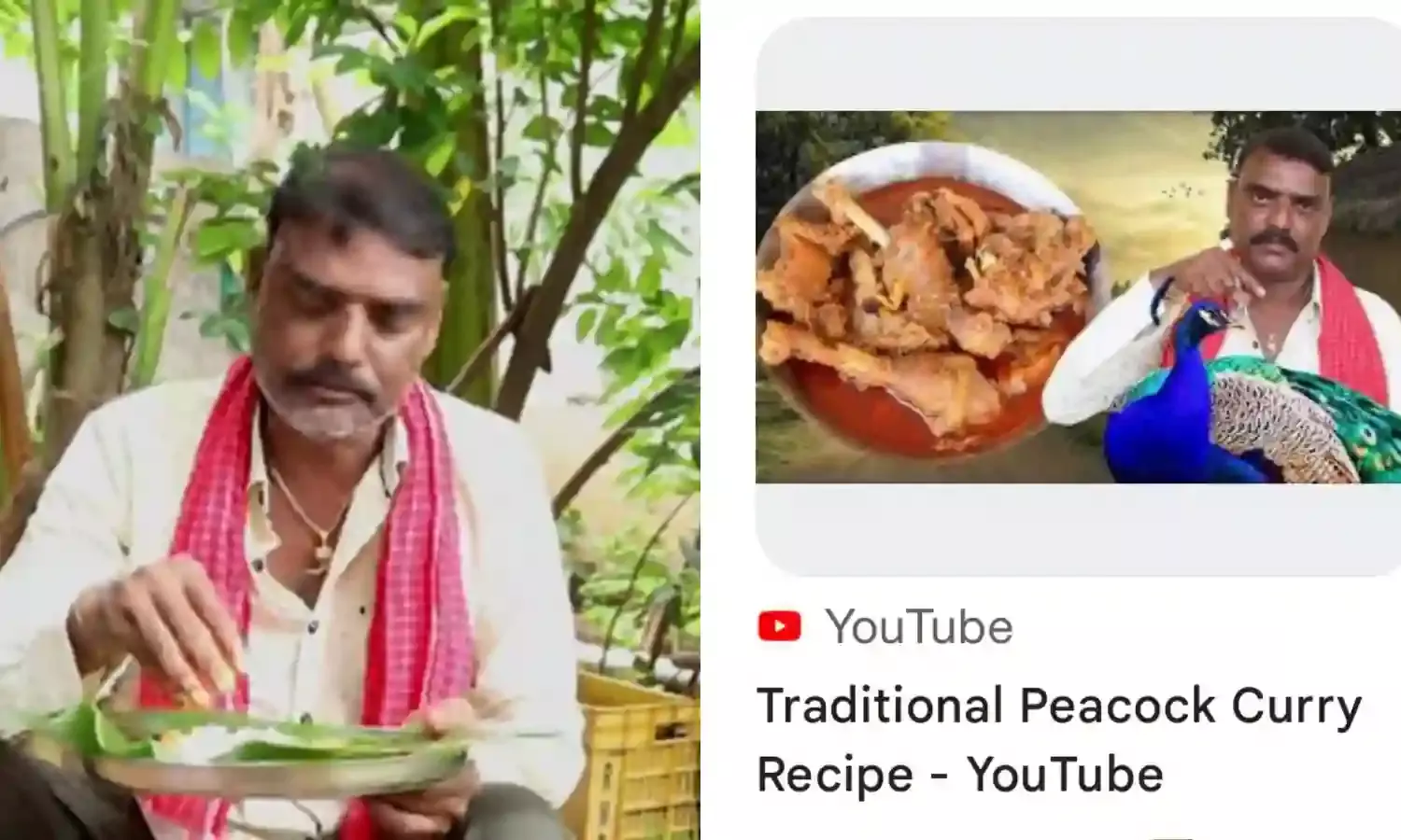Sircilla YouTuber booked for ‘Peacock Curry Recipe’ video