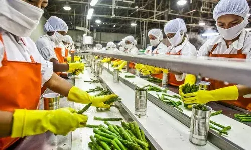 Food processing to integrated ports: Andhra to set up 100 new industrial parks
