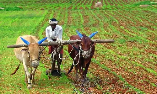 Congress govt in Telangana carries out third phase of crop loan waiver