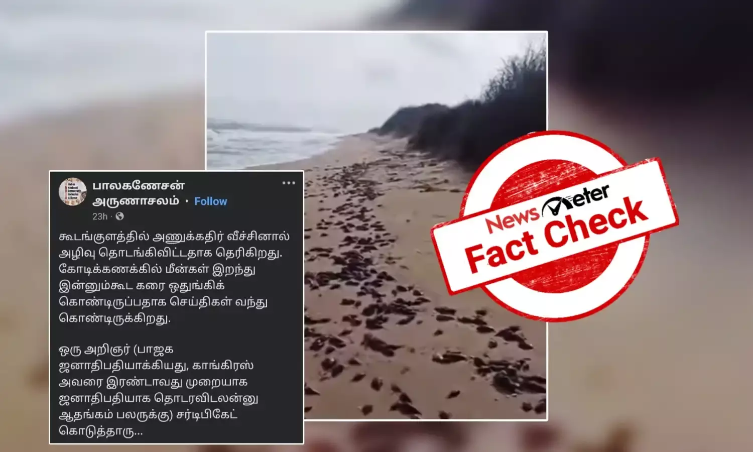 Fact Check: கூடங்குளத்தில் அணுக்கதிர்வீச்சால் மீன்கள் இறந்து கரை ஒதுங்கியதா? உண்மை என்ன?