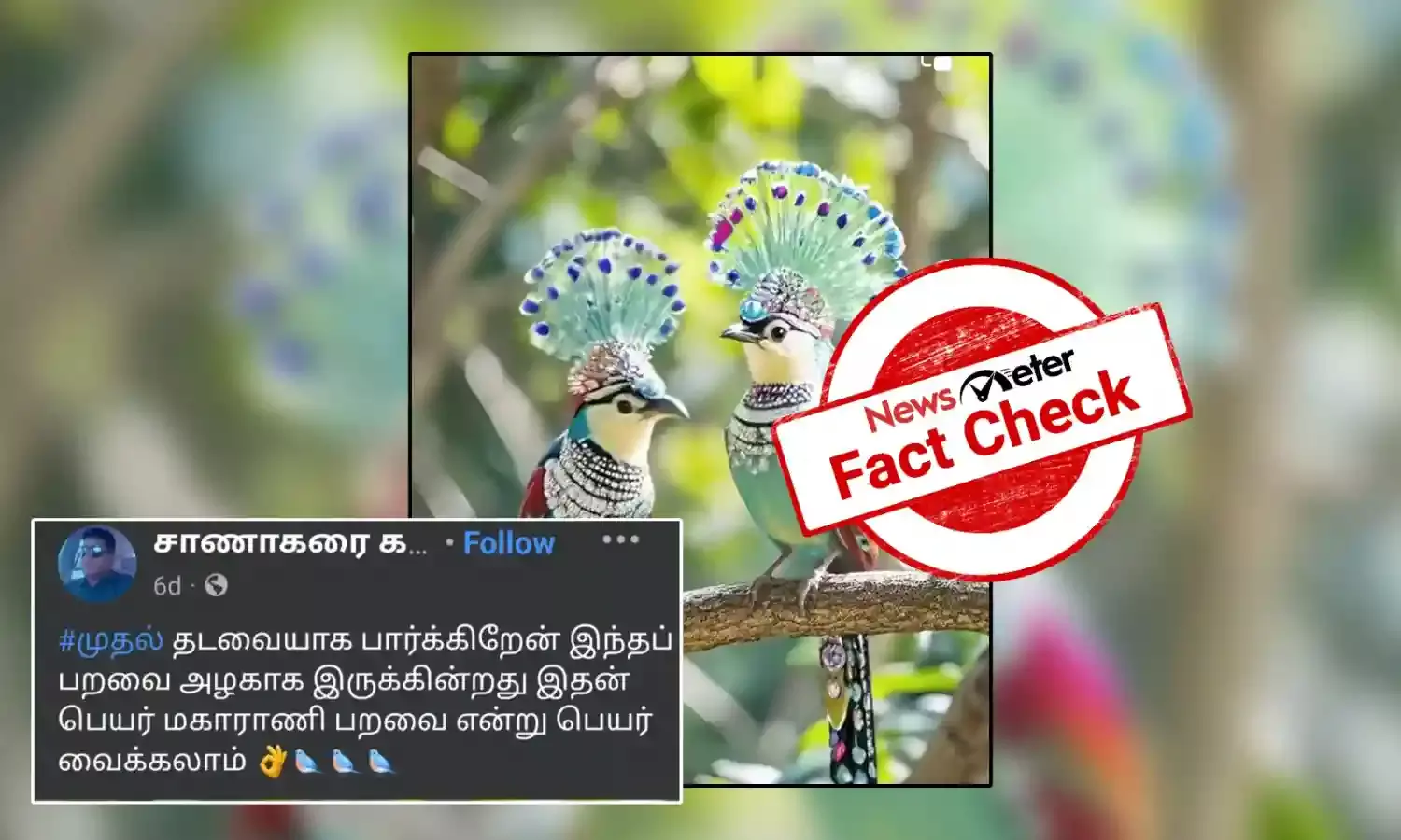 Fact Check: பல வண்ணங்களுடன் அழகிய தோற்றத்தில் பறவை உண்மையில் உள்ளதா? வைரல் காணொலியின் உண்மை பின்னணி?