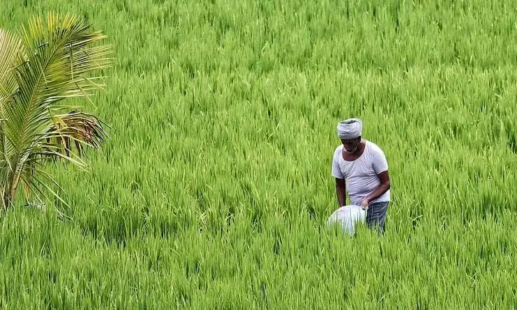 Centre okays Rs 14,000-cr outlay for 7 new schemes to boost farmers income