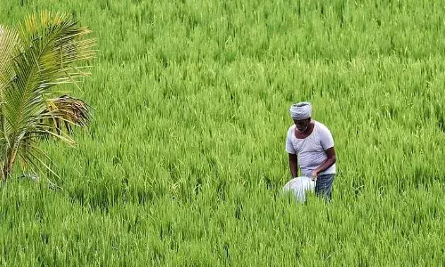 Centre okays Rs 14,000-cr outlay for 7 new schemes to boost farmers income