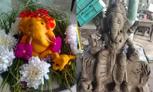 Happy Ganesh Chaturthi: Hyderabadis try eco-friendly idols to blend belief and nature for posterity