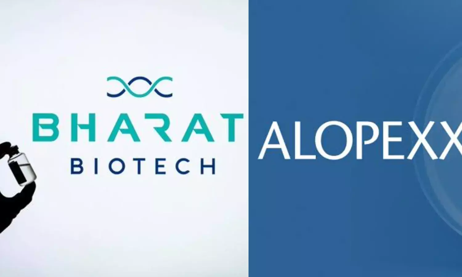 AV0328: Bharat Biotech, Alopexx partner to develop vaccine to combat growing threat of AMR