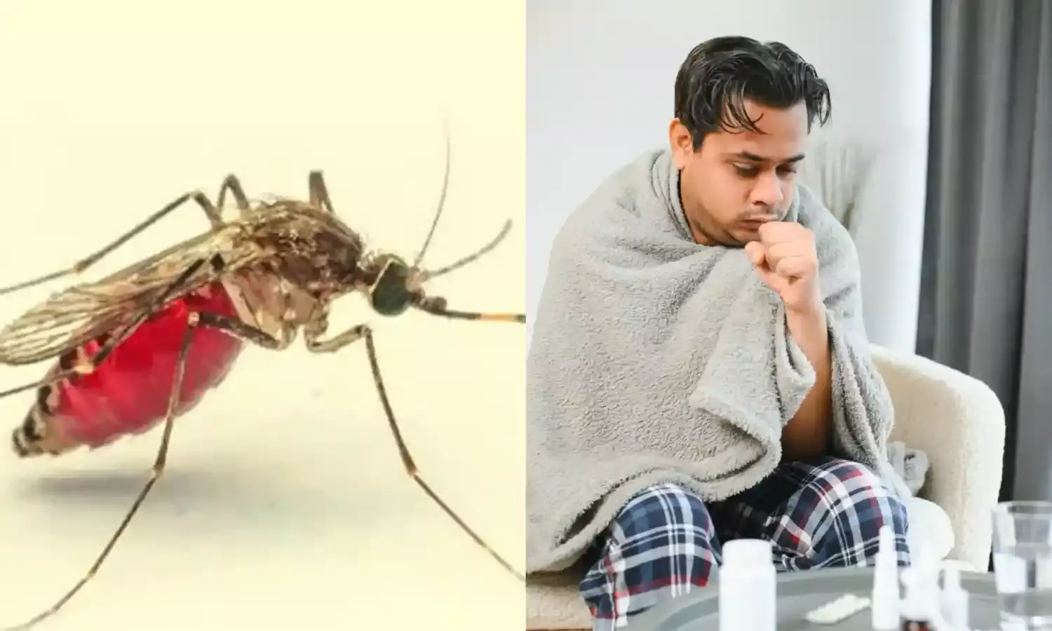 Health Alert: Dengue, Chikungunya risk highest in Hyderabad, Suryapet, Khammam, Warangal