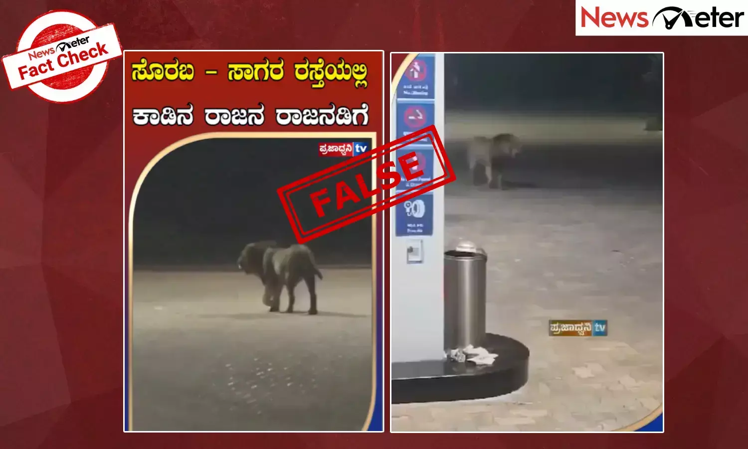 Fact Check: ಸೊರಬ-ಸಾಗರ ರಸ್ತೆಯಲ್ಲಿ ಸಿಂಹ ತಿರುಗಾಡುತ್ತಿದೆ ಎಂಬ ವೀಡಿಯೊ ಫೇಕ್