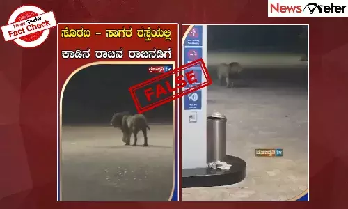 Fact Check: ಸೊರಬ-ಸಾಗರ ರಸ್ತೆಯಲ್ಲಿ ಸಿಂಹ ತಿರುಗಾಡುತ್ತಿದೆ ಎಂಬ ವೀಡಿಯೊ ಫೇಕ್