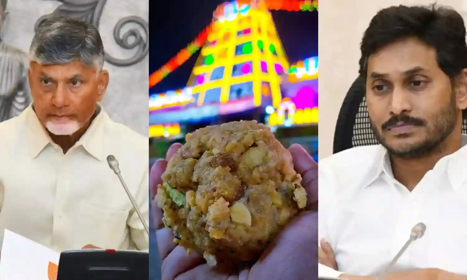 Animal fat was used to prepare Tirumala Venkateswara Swamy Laddus during YSRCP rule: Naidu