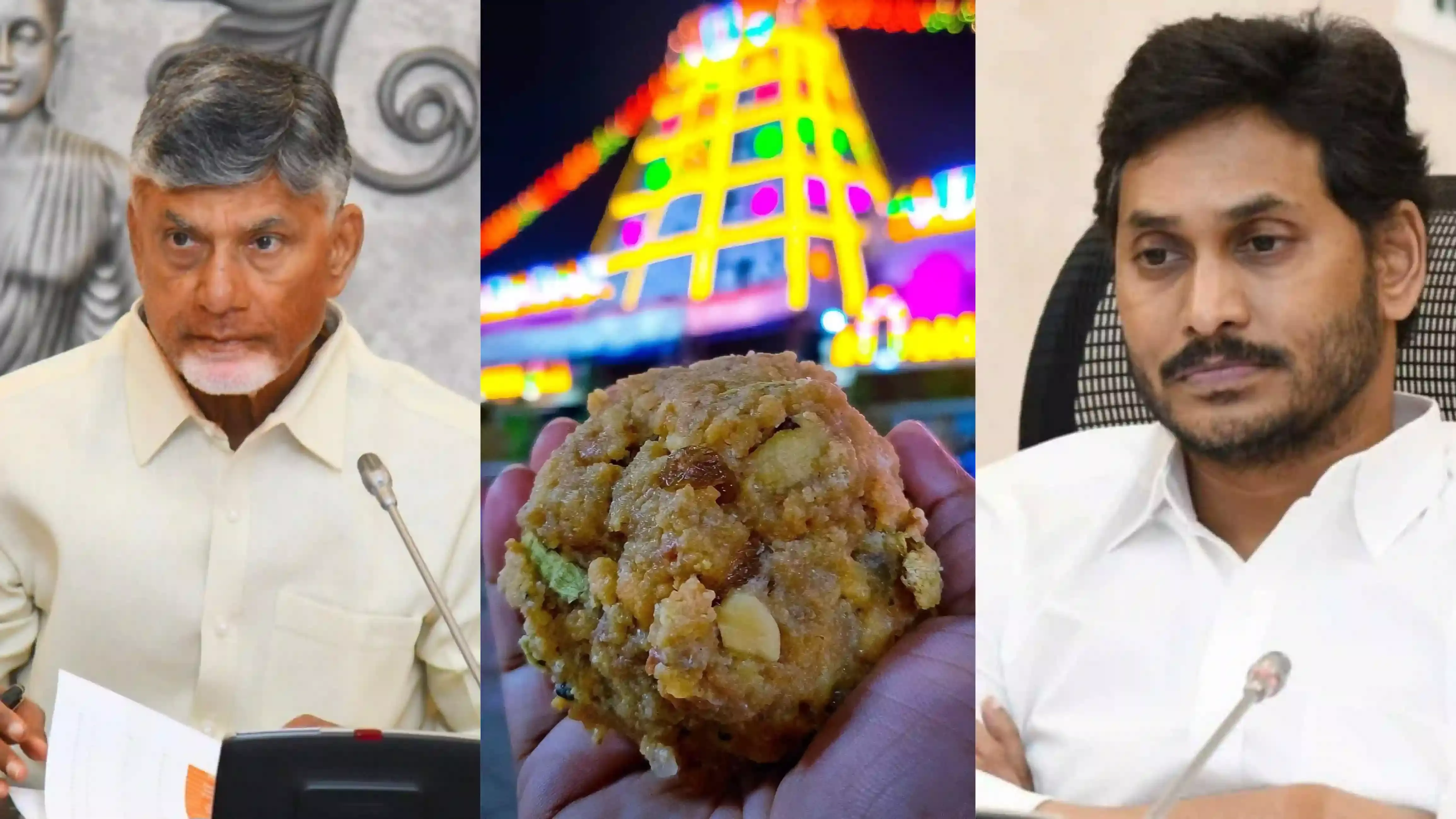 Animal fat was used to prepare Tirumala Venkateswara Swamy Laddus during YSRCP rule: Naidu
