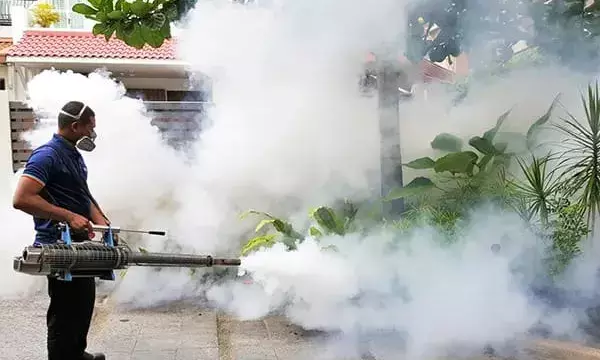 70% of households report no fogging for mosquitoes: LocalCircles survey