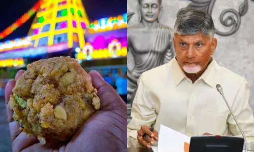 Andhra Pradesh govt appoints SIT to probe Tirumala ghee adulteration allegations