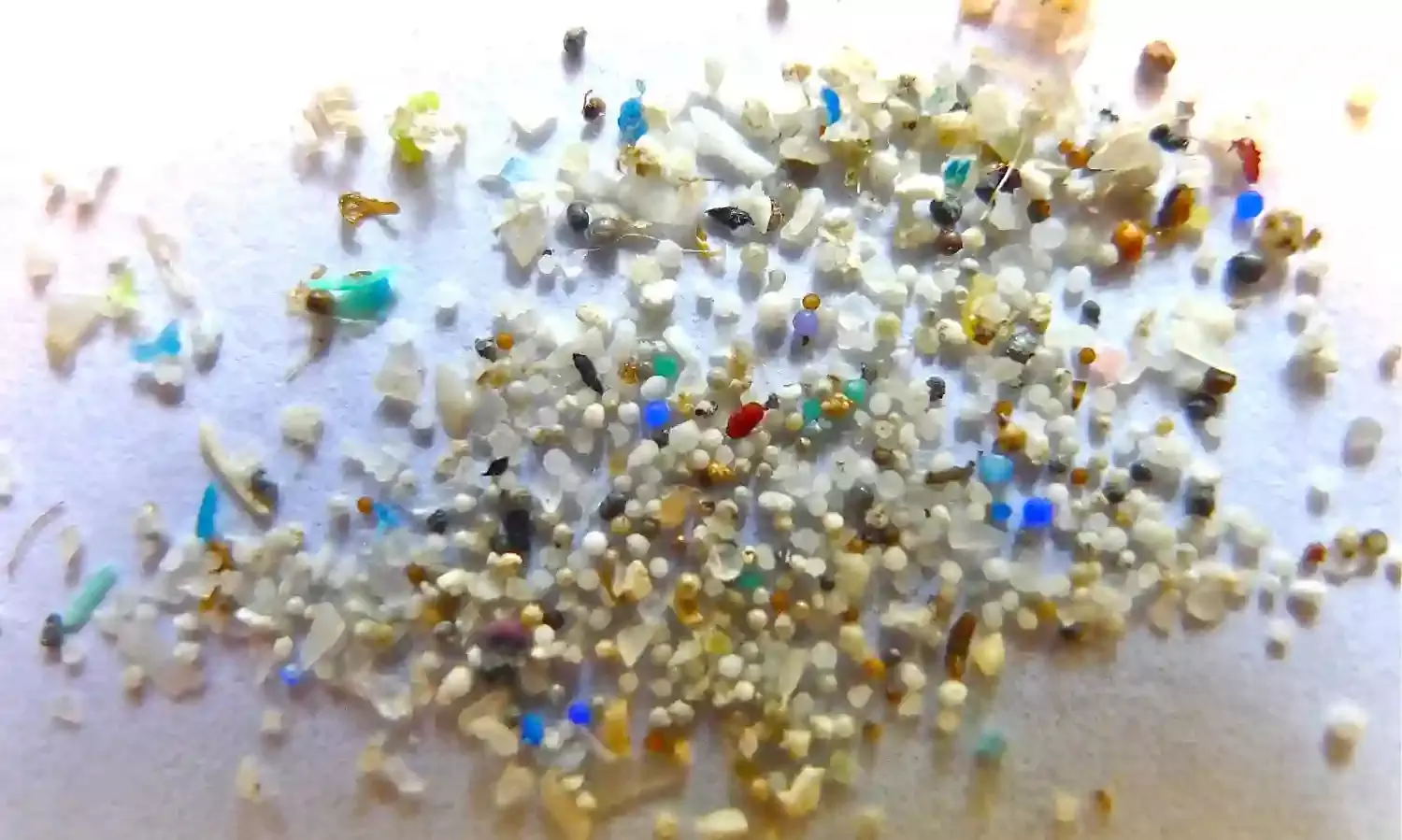 CSIR-NIOs study on microplastics reveals extent of pollution on Goa coast