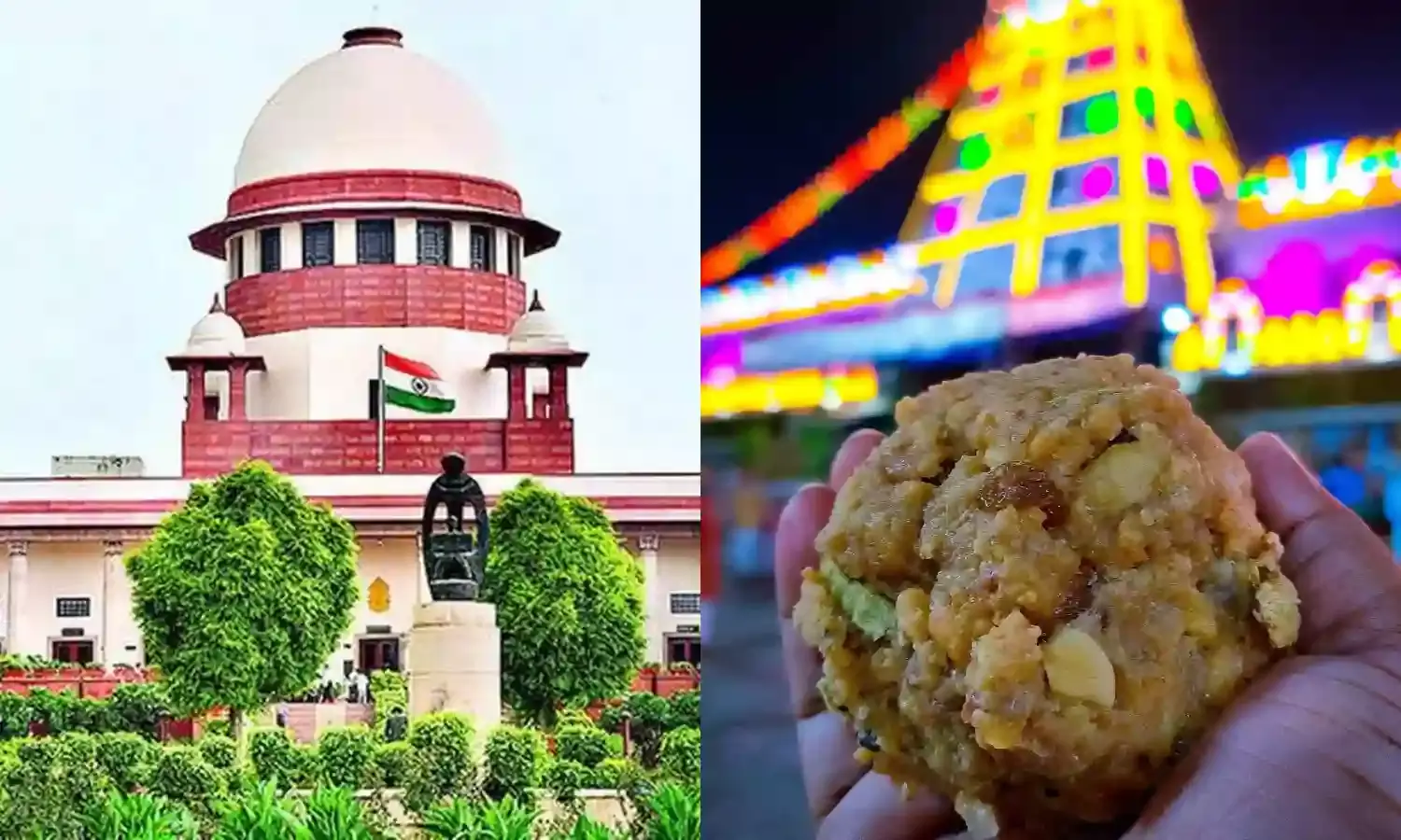 What is proof of contaminated ghee in Tirupati Laddus?’ SC asks for Gods to be kept away from politics