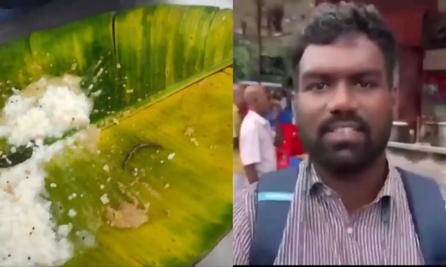 TTD denies centipede found in curd rice in Annaprasadam, terms viral photo as fake news
