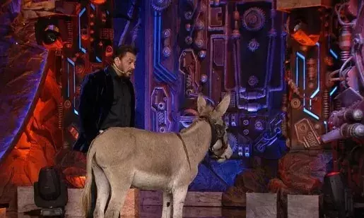PETA India writes letter to Salman Khan calling for donkeys removal from Bigg Boss 18
