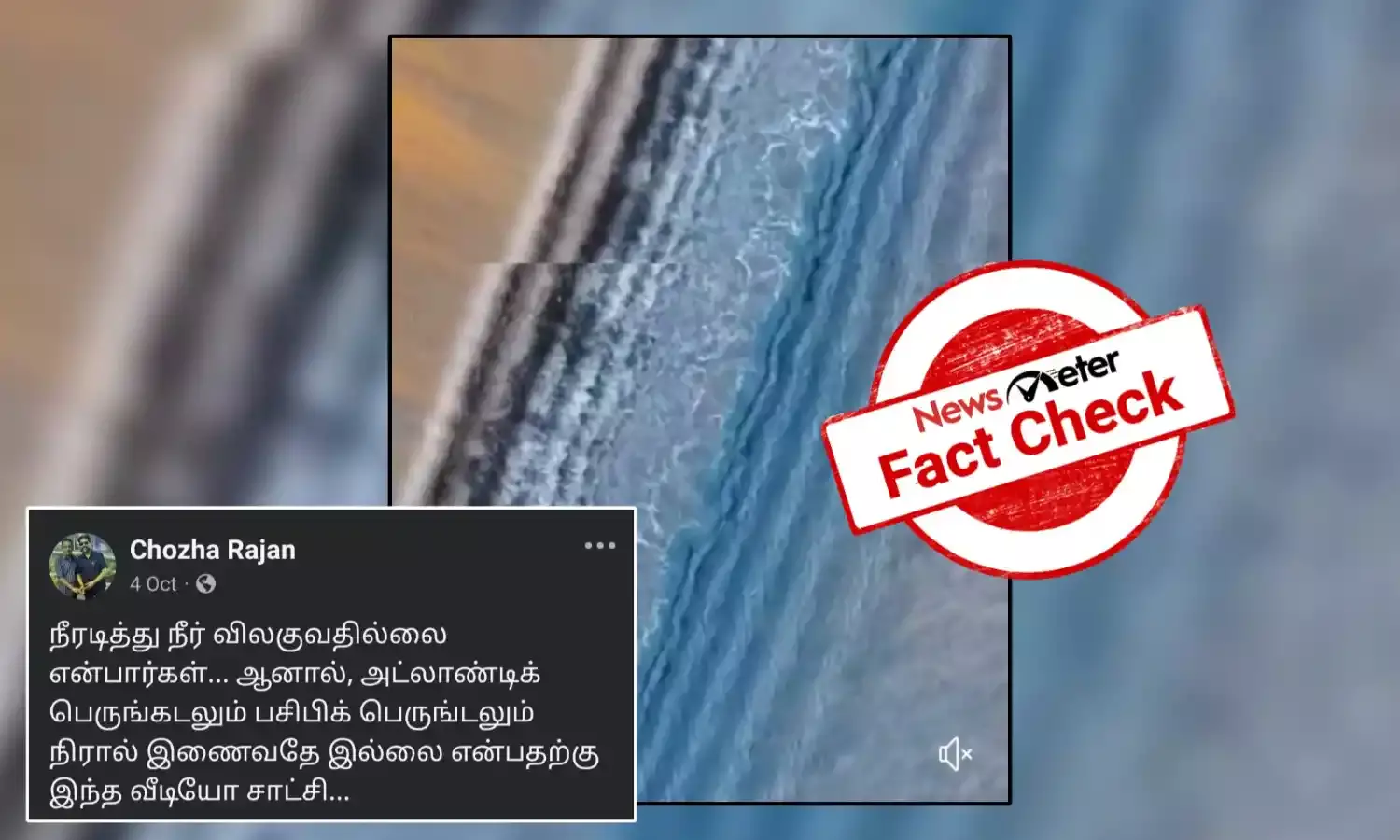 Fact Check: பசிபிக் மற்றும் அட்லாண்டிக் பெருங்கடல்கள் ஒன்றோடு ஒன்று கலக்காதா? உண்மை என்ன?