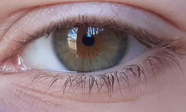 What is Corneal blindness? Why 6.8M people in India suffer from this disorder