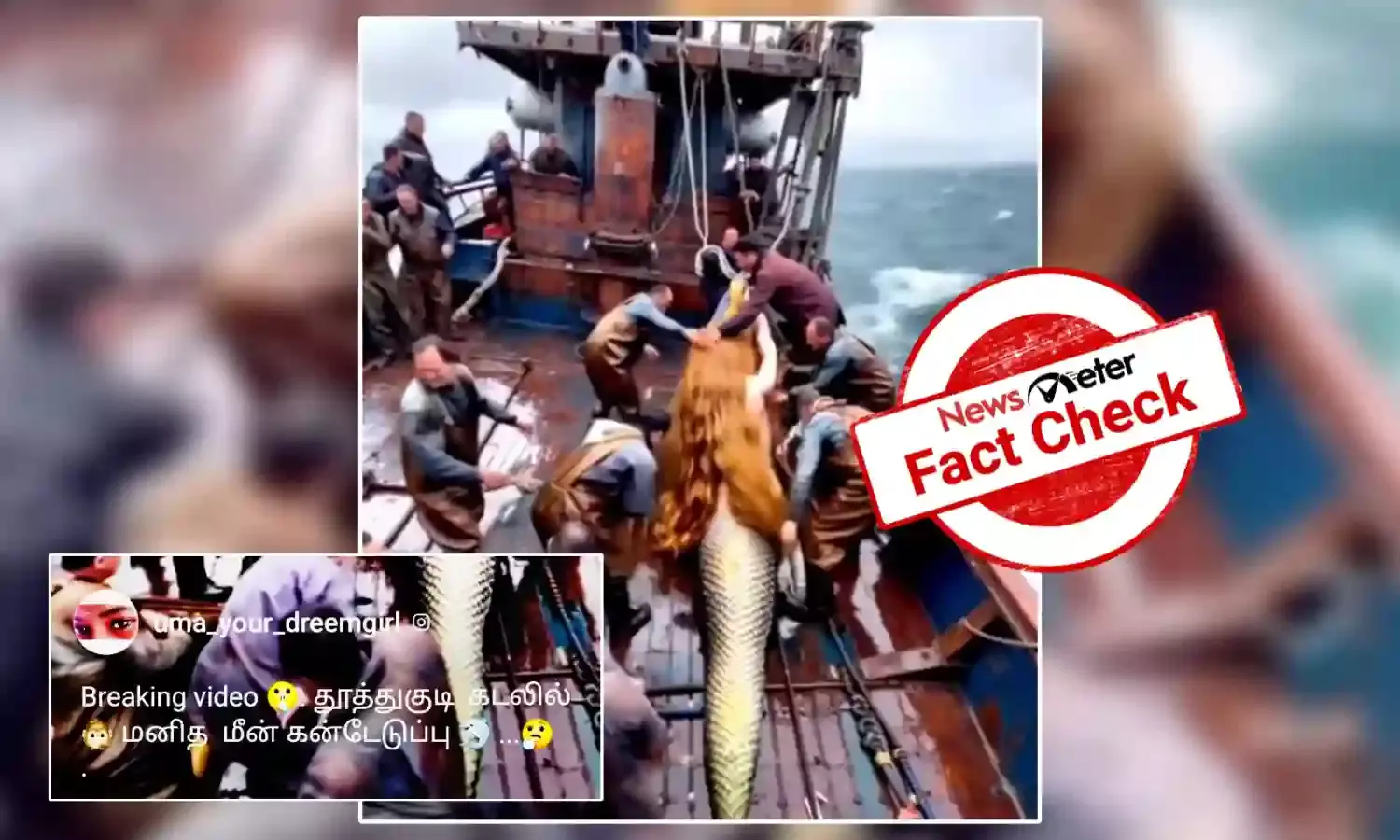 Fact Check: கடலில் மனித உருவில் கண்டெடுக்கப்பட்ட  மீன்; உண்மை என்ன?