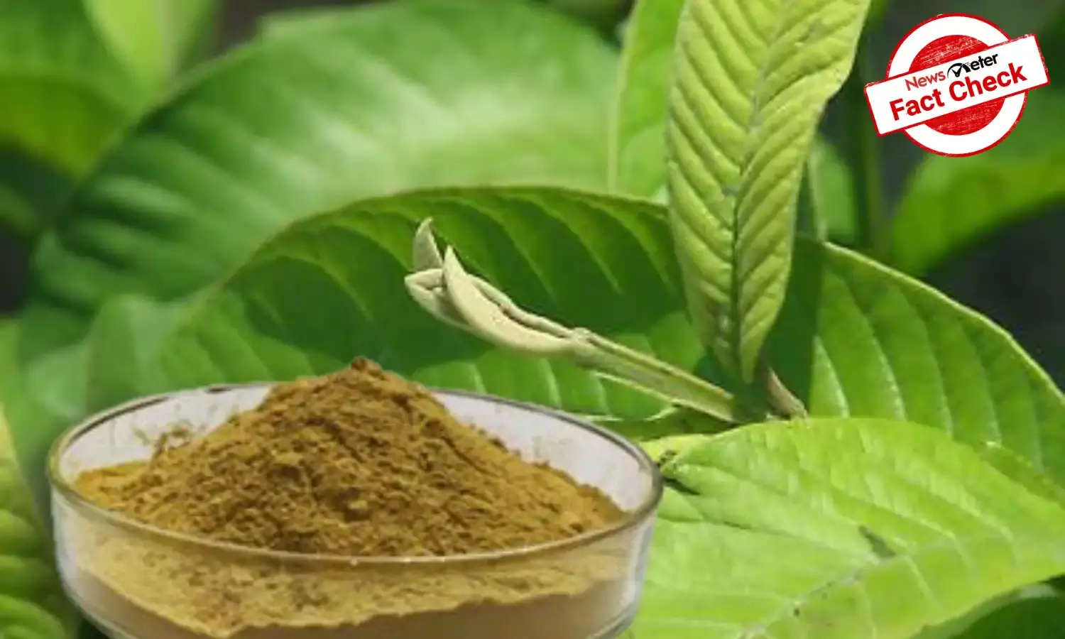 Fact Check: Diabetes cannot be reversed by guava leaf, turmeric and black pepper concoction