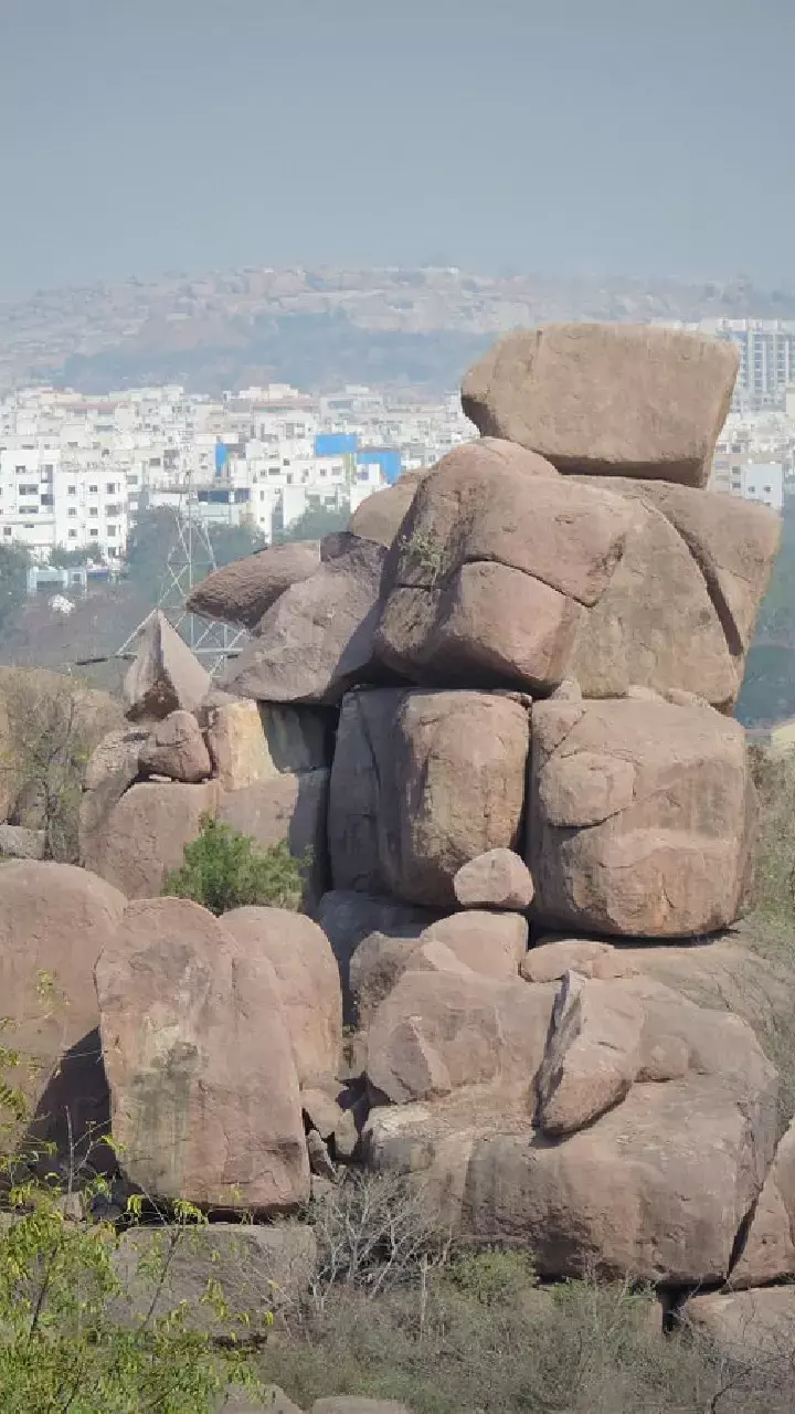 Society to Save Rocks Hosts Art Exhibition for Geodiversity Week