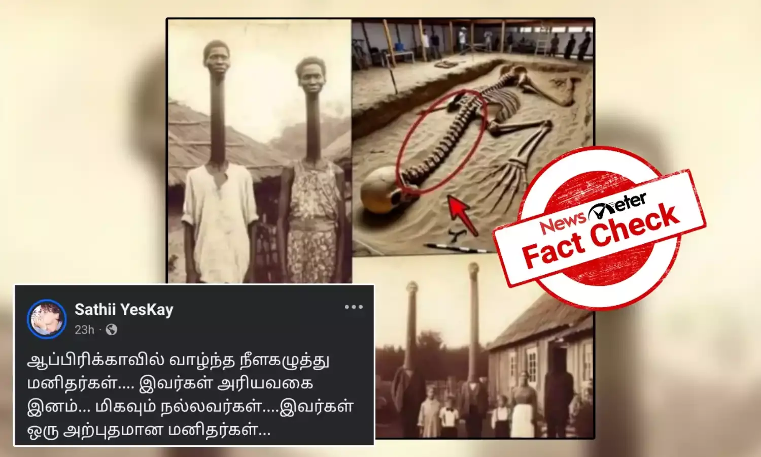 Fact Check: ஆப்ரிக்காவில் வாழ்ந்த நீளக்கழுத்து மனிதர்கள் என்று வைரலாகும் புகைப்படங்கள்? உண்மை என்ன?