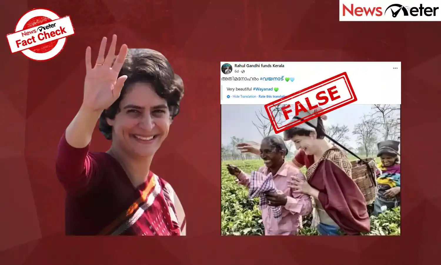 Fact Check: Old photo of Priyanka Gandhi with Assam tea workers linked to Wayanad poll campaign