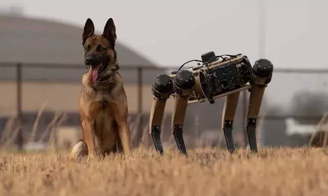 Jammu encounter cost Army its Phantom, canine warrior died trying to protect troops