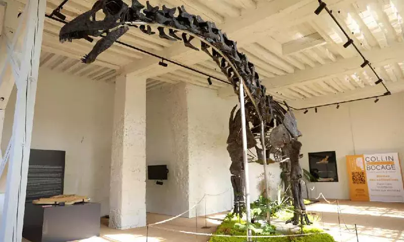 Biggest and ‘most complete’ dinosaur skeleton to go on sale on November 16