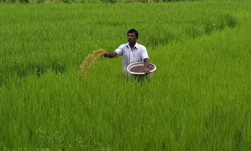 Take tough action against traders troubling farmers: Telangana CM Revanth tells officials